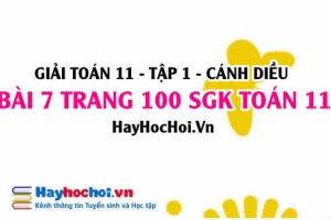 Giải bài 7 trang 100 Toán 11 tập 1 SGK Cánh Diều